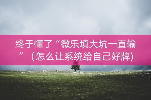 终于懂了“微乐填大坑一直输”（怎么让系统给自己好牌)