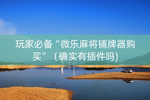 玩家必备“微乐麻将铺牌器购买”（确实有插件吗)
