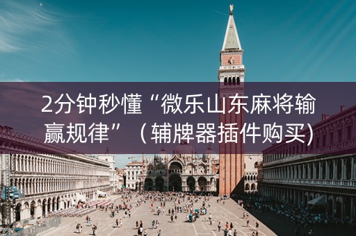 2分钟秒懂“微乐山东麻将输赢规律”（辅牌器插件购买)