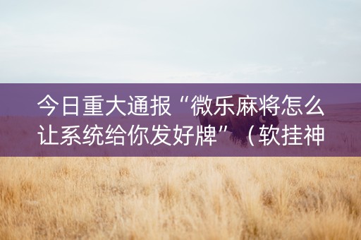 今日重大通报“微乐麻将怎么让系统给你发好牌”（软挂神器)