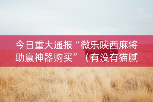 今日重大通报“微乐陕西麻将助赢神器购买”（有没有猫腻)