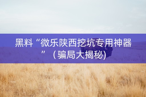 黑料“微乐陕西挖坑专用神器”（骗局大揭秘)