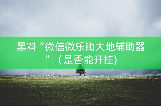 黑料“微信微乐锄大地辅助器”（是否能开挂)