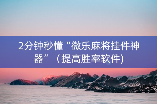 2分钟秒懂“微乐麻将挂件神器”（提高胜率软件)