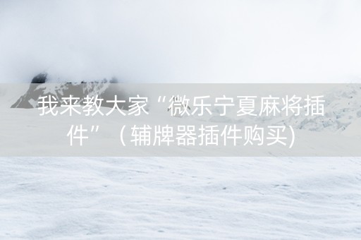 我来教大家“微乐宁夏麻将插件”（辅牌器插件购买)