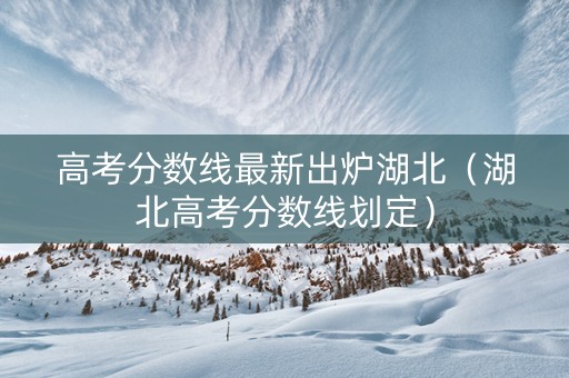 高考分数线最新出炉湖北（湖北高考分数线划定）