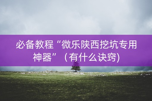 必备教程“微乐陕西挖坑专用神器”（有什么诀窍)