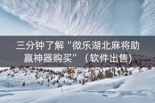 三分钟了解“微乐湖北麻将助赢神器购买”（软件出售)
