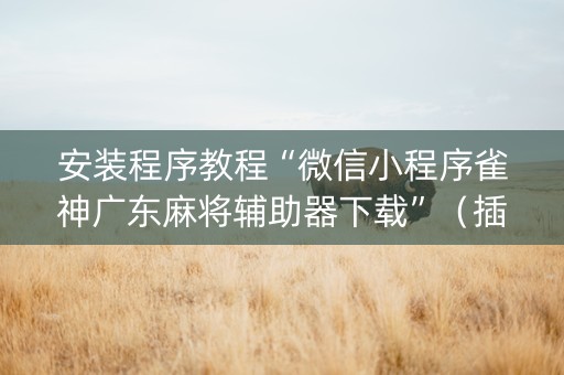 安装程序教程“微信小程序雀神广东麻将辅助器下载”（插件开挂免费AI)