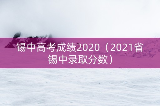 锡中高考成绩2020（2021省锡中录取分数）