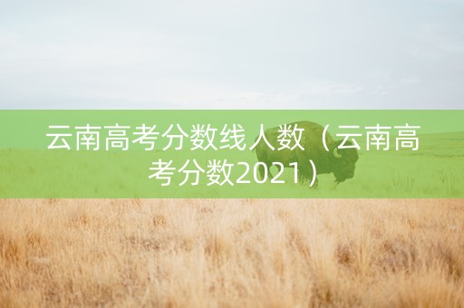 云南高考分数线人数（云南高考分数2021）