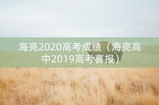 海亮2020高考成绩（海亮高中2019高考喜报）