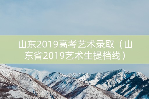 山东2019高考艺术录取（山东省2019艺术生提档线）