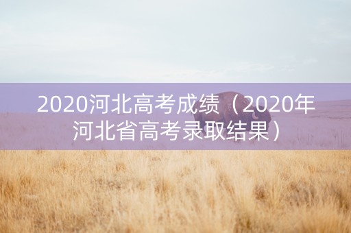 2020河北高考成绩（2020年河北省高考录取结果）