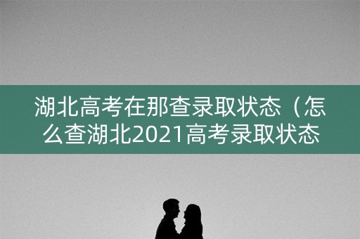 湖北高考在那查录取状态（怎么查湖北2021高考录取状态）