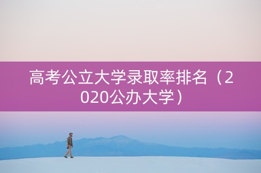 高考公立大学录取率排名（2020公办大学）