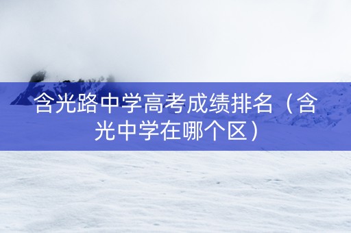 含光路中学高考成绩排名（含光中学在哪个区）