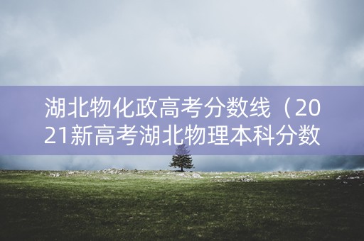 湖北物化政高考分数线（2021新高考湖北物理本科分数线）