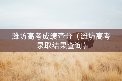 潍坊高考成绩查分（潍坊高考录取结果查询）