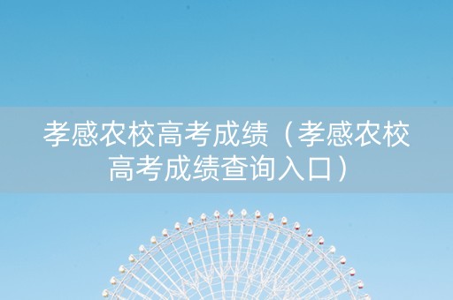 孝感农校高考成绩（孝感农校高考成绩查询入口）