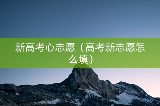 新高考心志愿（高考新志愿怎么填）