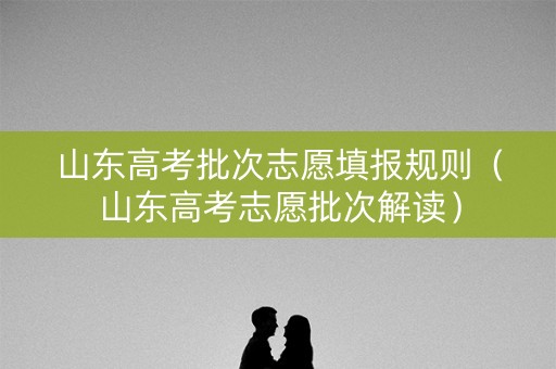 山东高考批次志愿填报规则（山东高考志愿批次解读）