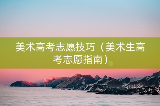 美术高考志愿技巧（美术生高考志愿指南）