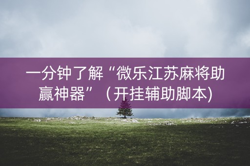 一分钟了解“微乐江苏麻将助赢神器”（开挂辅助脚本)