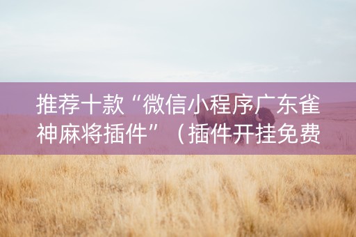 推荐十款“微信小程序广东雀神麻将插件”（插件开挂免费AI)