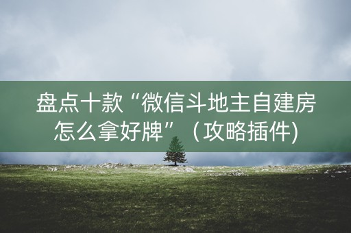 盘点十款“微信斗地主自建房怎么拿好牌”（攻略插件)