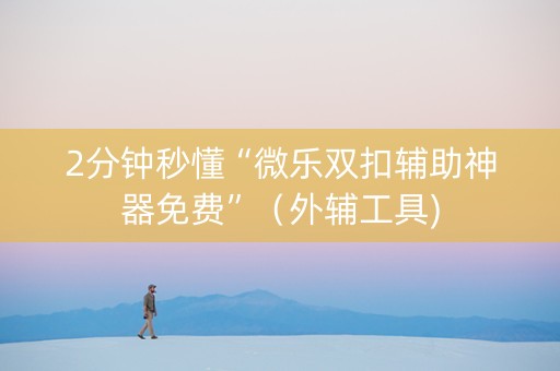 2分钟秒懂“微乐双扣辅助神器免费”（外辅工具)