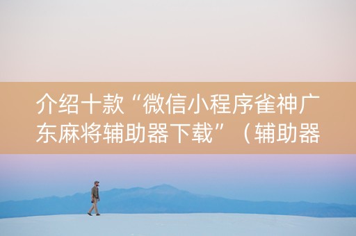 介绍十款“微信小程序雀神广东麻将辅助器下载”（辅助器插件)