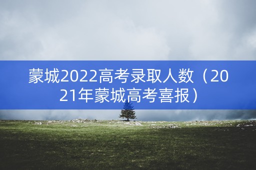 蒙城2022高考录取人数（2021年蒙城高考喜报）