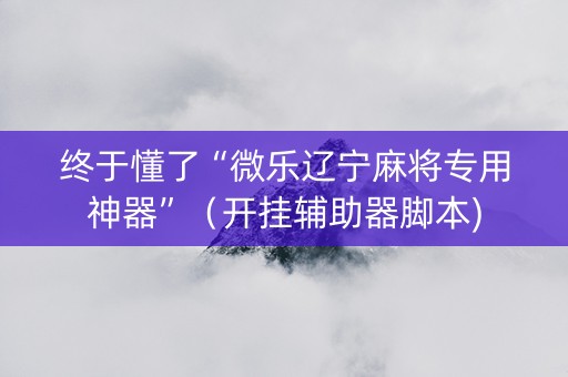 终于懂了“微乐辽宁麻将专用神器”（开挂辅助器脚本)
