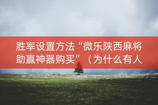 胜率设置方法“微乐陕西麻将助赢神器购买”（为什么有人一直赢)