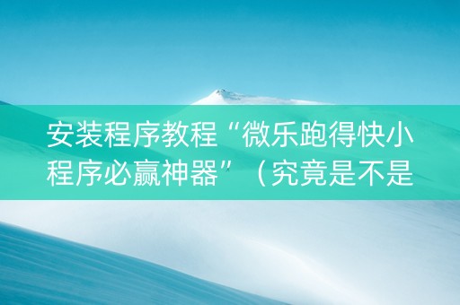 安装程序教程“微乐跑得快小程序必赢神器”（究竟是不是有挂)