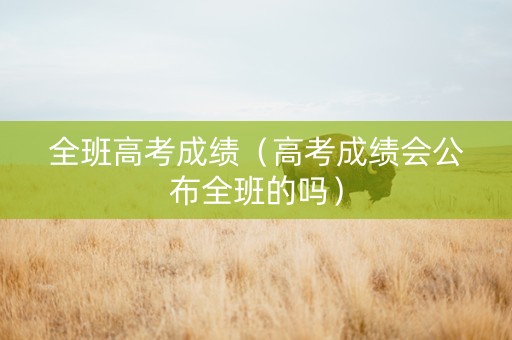 全班高考成绩（高考成绩会公布全班的吗）