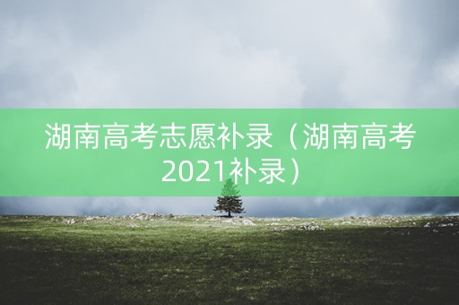 湖南高考志愿补录（湖南高考2021补录）
