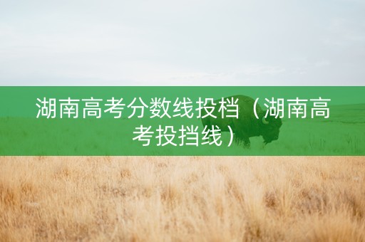 湖南高考分数线投档（湖南高考投挡线）