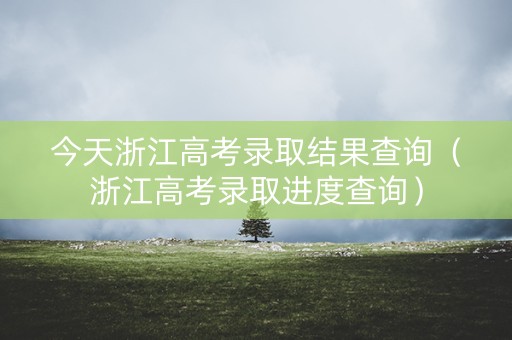 今天浙江高考录取结果查询（浙江高考录取进度查询）