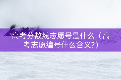 高考分数线志愿号是什么（高考志愿编号什么含义?）