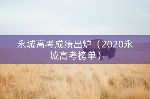 永城高考成绩出炉（2020永城高考榜单）