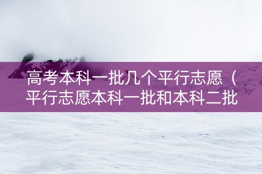 高考本科一批几个平行志愿（平行志愿本科一批和本科二批）