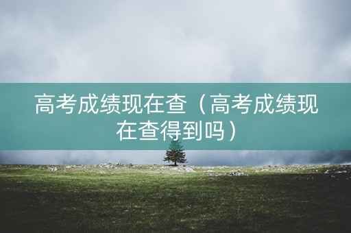 高考成绩现在查（高考成绩现在查得到吗）