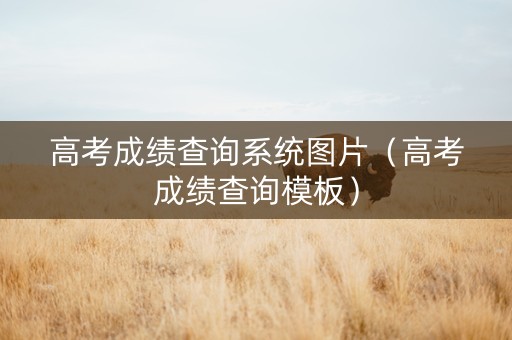 高考成绩查询系统图片（高考成绩查询模板）