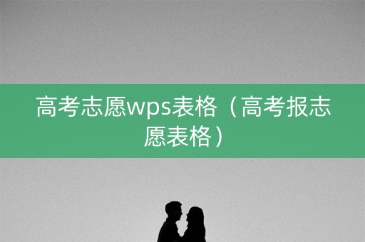 高考志愿wps表格（高考报志愿表格）