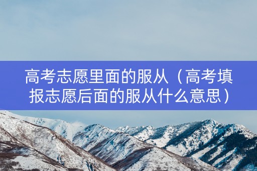 高考志愿里面的服从（高考填报志愿后面的服从什么意思）