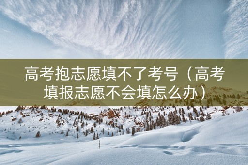 高考抱志愿填不了考号（高考填报志愿不会填怎么办）