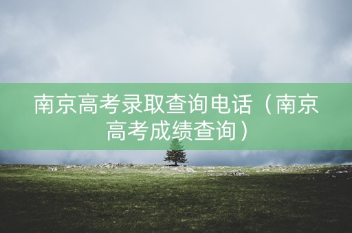 南京高考录取查询电话（南京高考成绩查询）