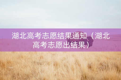 湖北高考志愿结果通知（湖北高考志愿出结果）